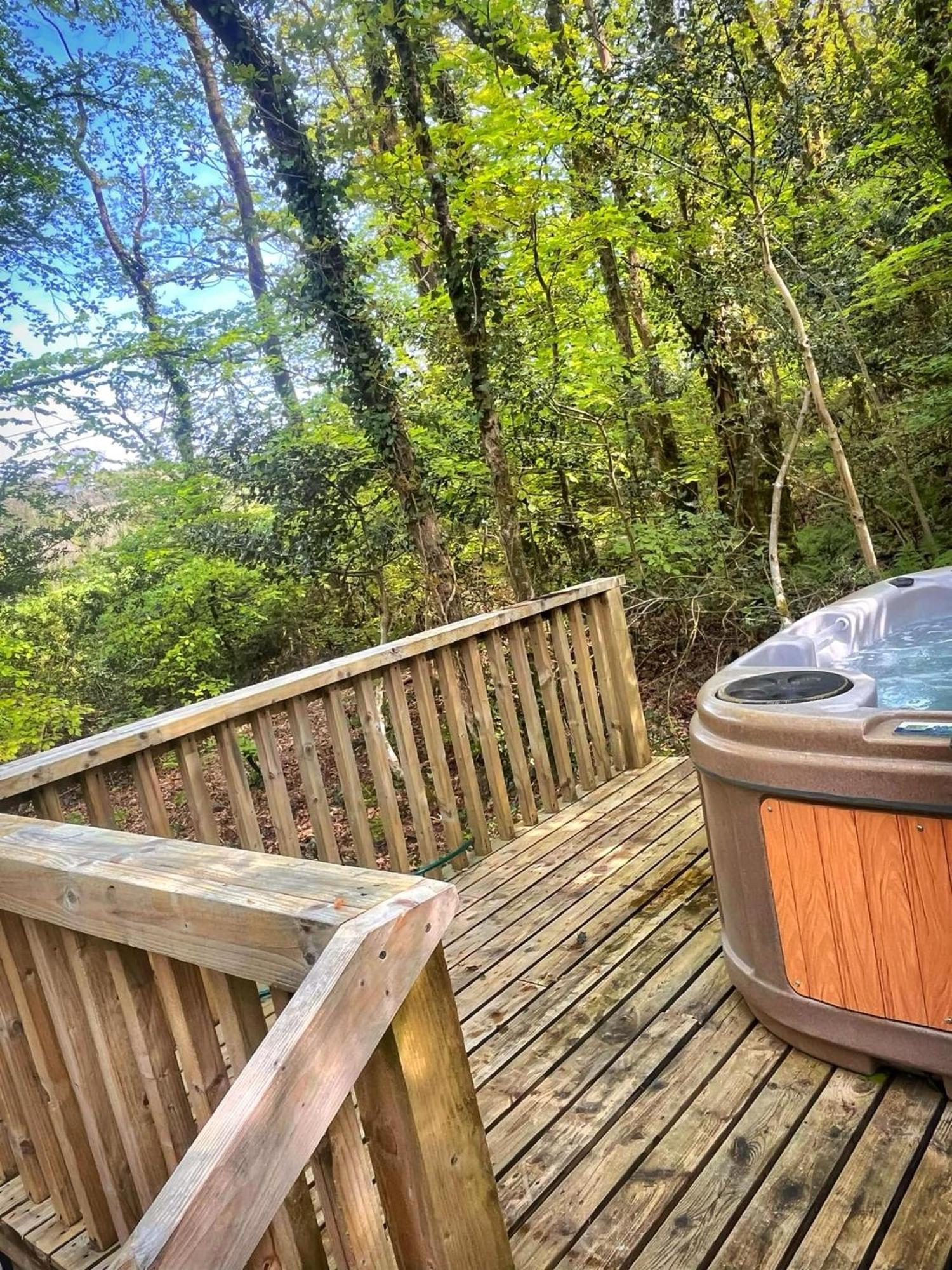 Шале Woodland View -hot Tub-tenby-carmarthen-st Clears